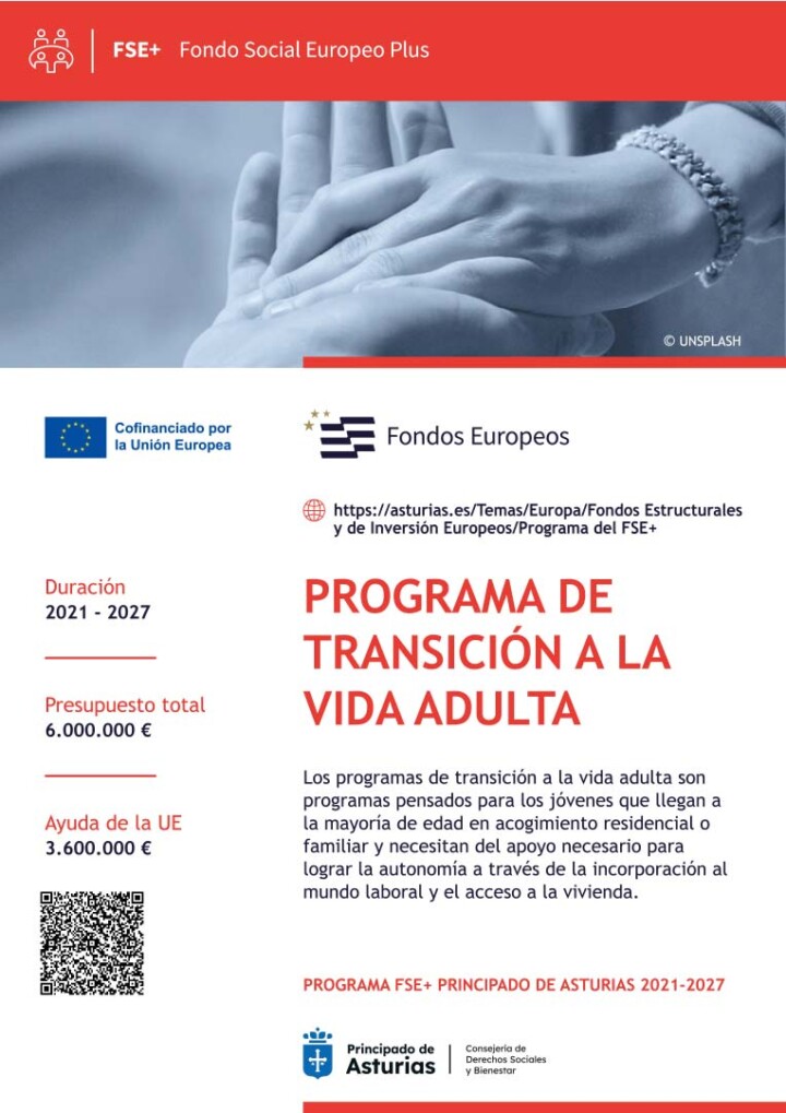 Programa de Transici&oacute;n a la Vida Adulta